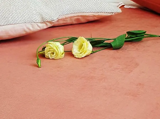 Ban Apartment Dubrovnik